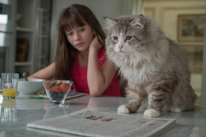 una-vita-da-gatto-nine-lives-10